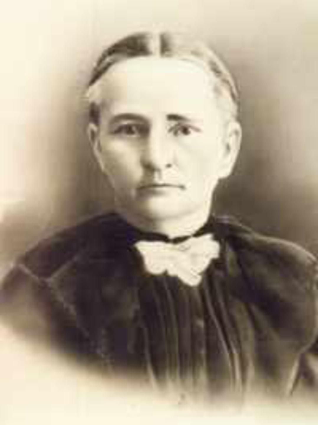 Mary Ellen Johnson (1851 - 1940) Profile
